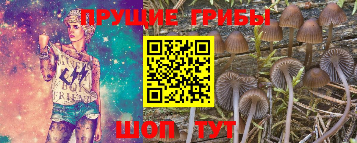 Псилоцибиновые грибы мухоморы Калуга