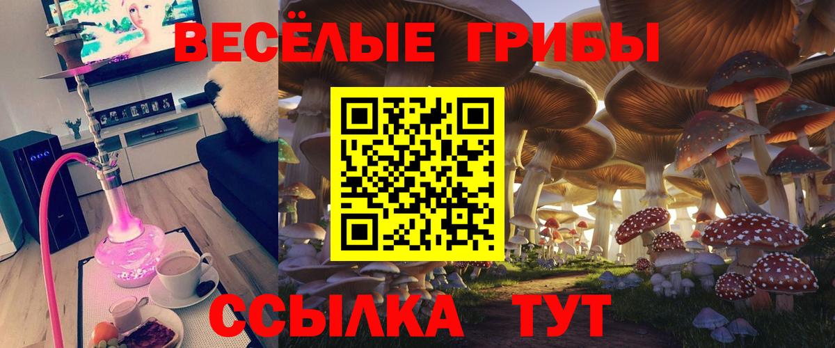 наркошоп  Псилоцибиновые грибы прущие грибы  Галлюциногенные грибы прущие грибы  Вход с VPN  Калуга 